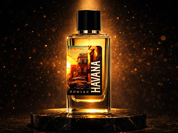 New Arraival